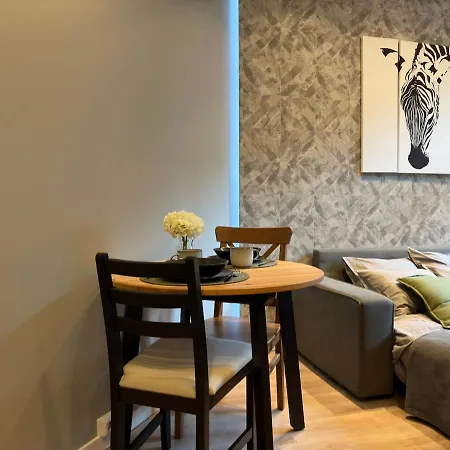 Valdemara 39 Apartamento Riga